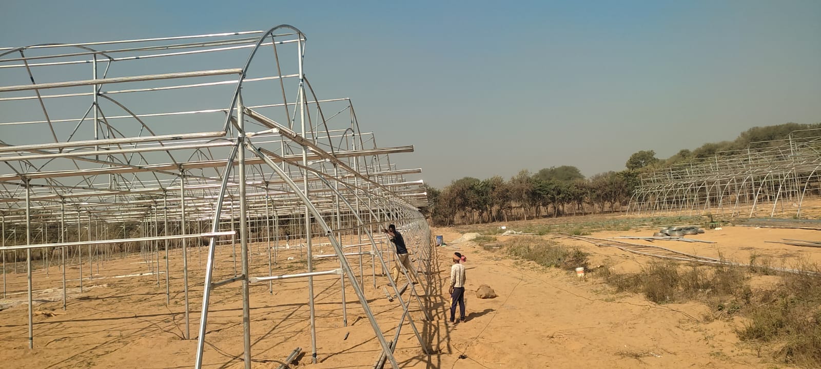 Greenhouse Project 38